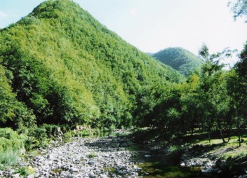  Image name: 143 parco sul fiume.jpg 
 width: 352 pixel 
 height: 254 pixel 
 Size: 40148 bytes 
 Click to enlarge 